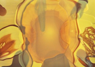 Glue Field Series #5